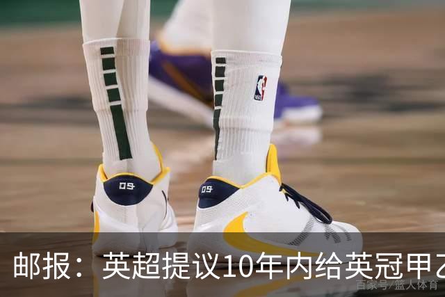 邮报：英超提议10年内给英冠甲乙增加18亿镑资金，但附带多个要求